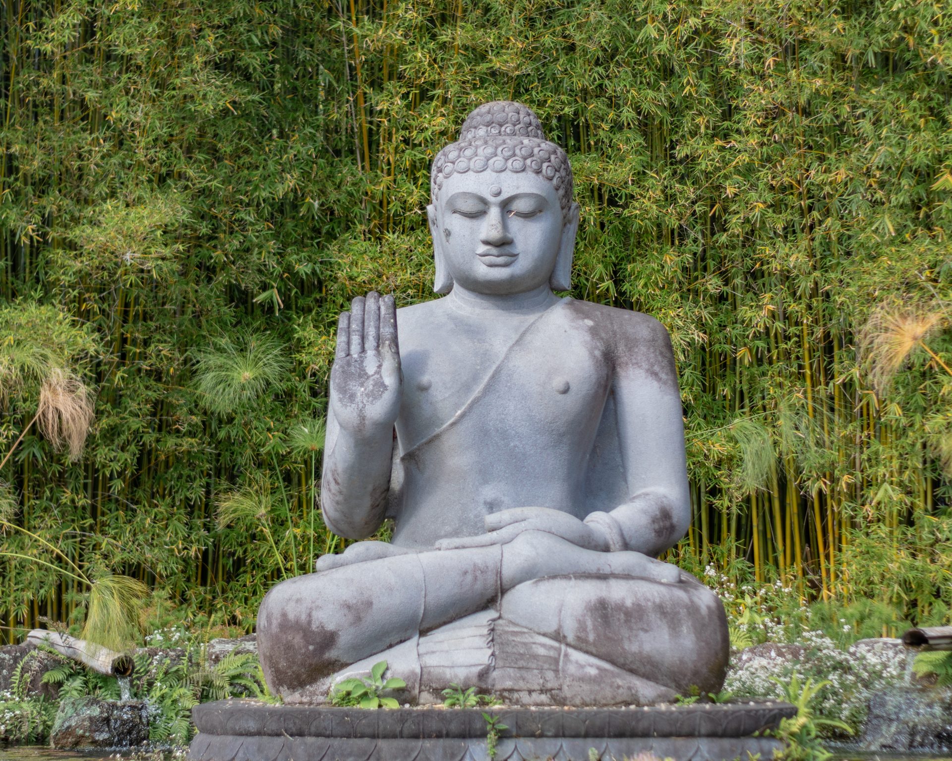 Boeddha over gehechtheid boeddhisme