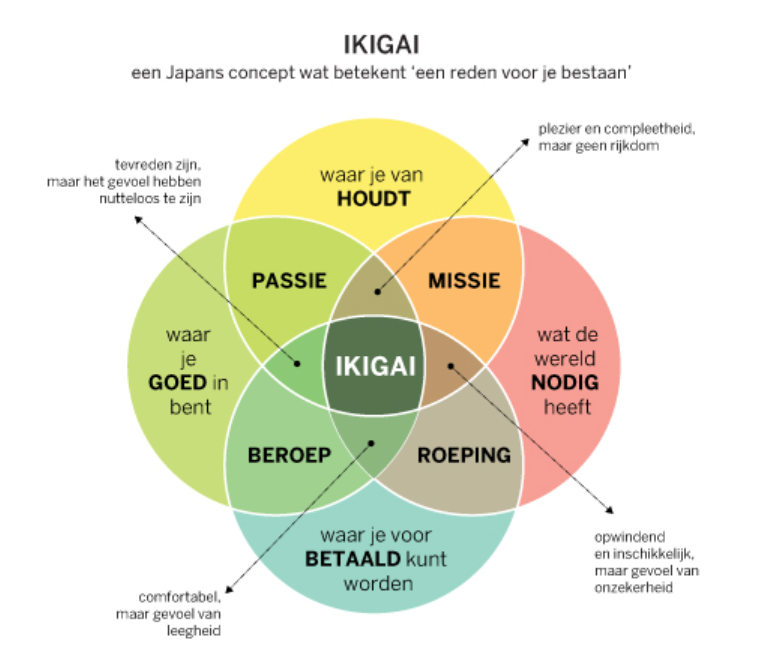 missie en visie voorbeelden: ikigai-model